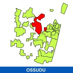 Ossudu