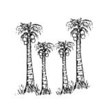 coconut-faram-election-symbol