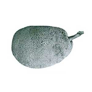 jackfruit